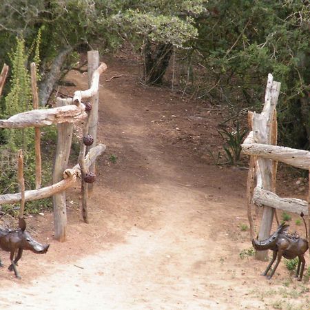 Willa Addo Dung Beetle Guest Farm Zewnętrze zdjęcie