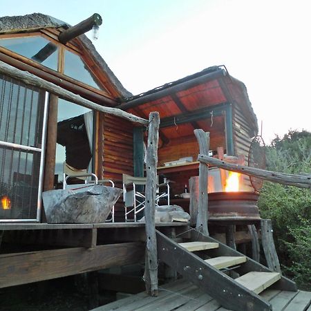Willa Addo Dung Beetle Guest Farm Zewnętrze zdjęcie