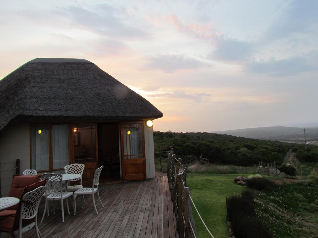 Willa Addo Dung Beetle Guest Farm Zewnętrze zdjęcie