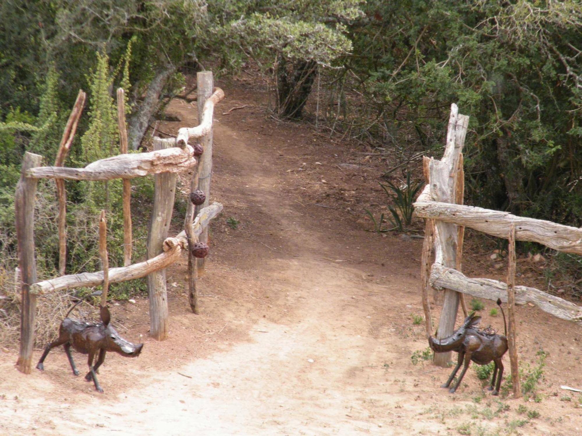 Willa Addo Dung Beetle Guest Farm Zewnętrze zdjęcie