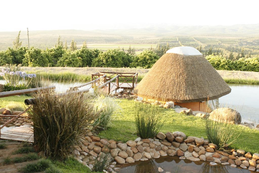 Willa Addo Dung Beetle Guest Farm Zewnętrze zdjęcie