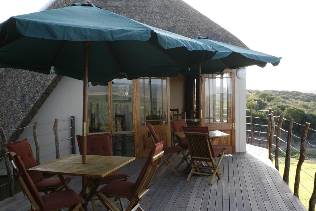 Willa Addo Dung Beetle Guest Farm Zewnętrze zdjęcie