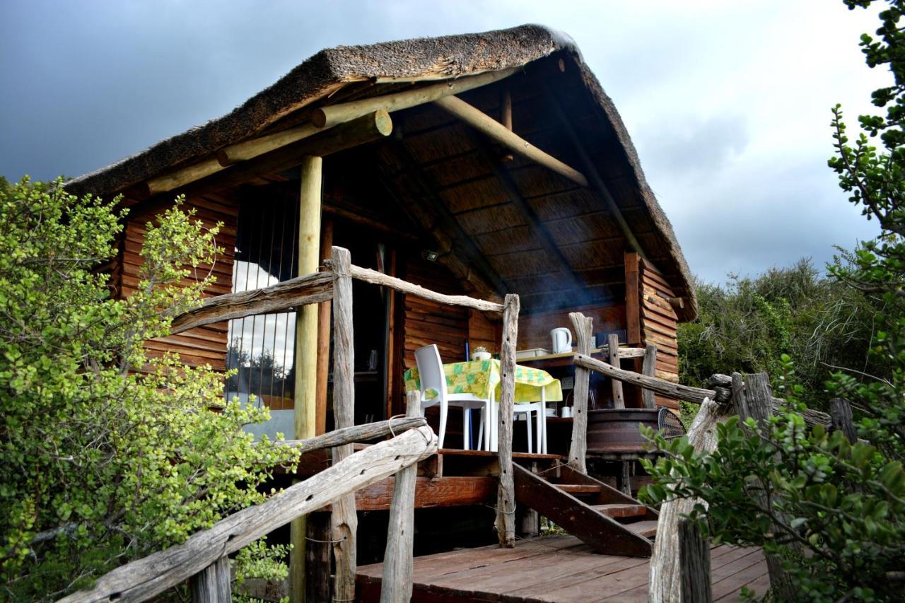 Willa Addo Dung Beetle Guest Farm Zewnętrze zdjęcie
