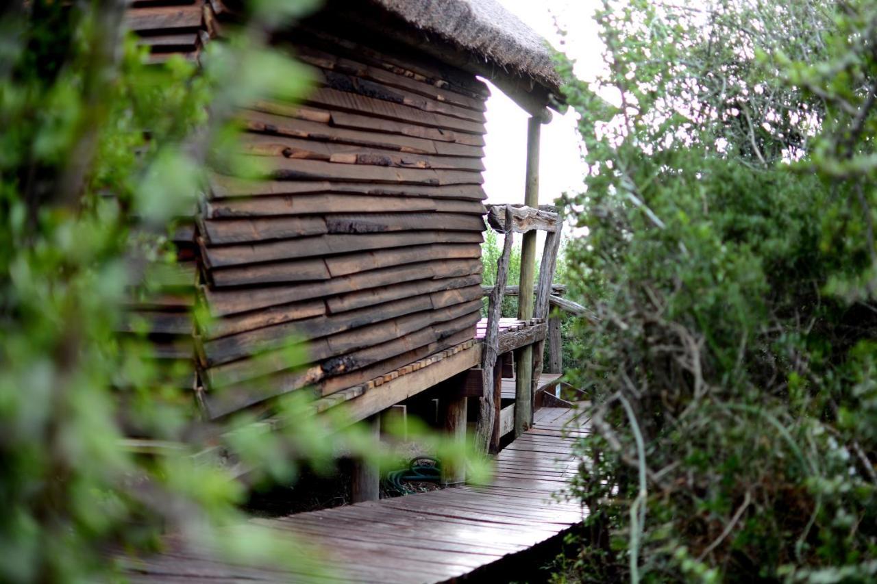 Willa Addo Dung Beetle Guest Farm Zewnętrze zdjęcie