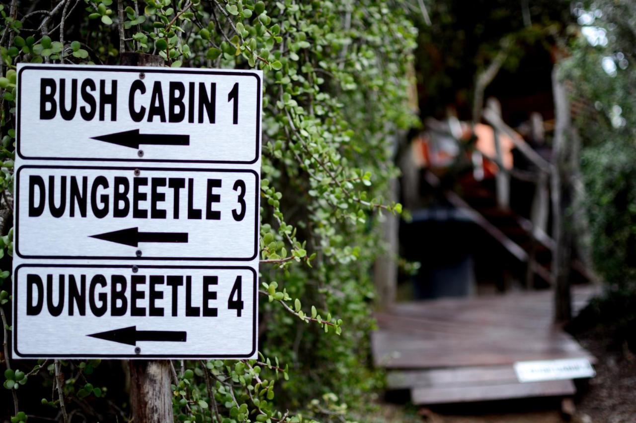 Willa Addo Dung Beetle Guest Farm Zewnętrze zdjęcie